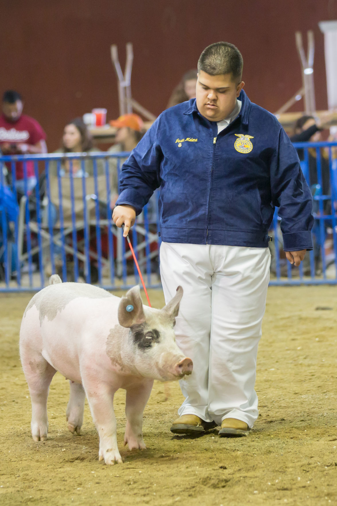 070919 SB Fair Animal Judging 19.jpg